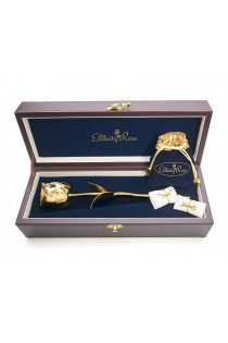 Gold-Dipped Rose & Blue Leaf Theme Jewellery Set