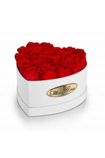 20 Preserved Red Roses. Heart Display Box in White 