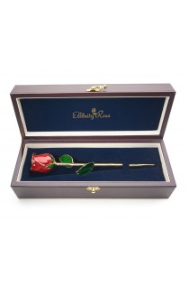 Red Tight Bud Glazed Rose Trimmed with 24K Gold 