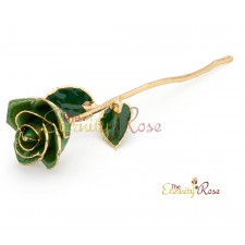 dark green rose