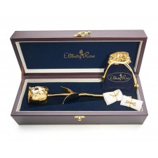 Gold-Dipped Rose & Red Leaf Theme Jewellery Set