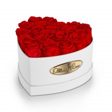 20 Preserved Red Roses. Heart Display Box in White 