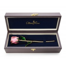 Pink Tight Bud Glazed Rose Trimmed with 24K Gold