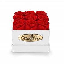 9 Preserved Red Roses. Square White Display Box 