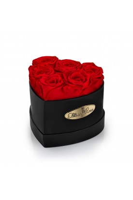 6 Preserved Red Roses. Heart Display Box in Black 
