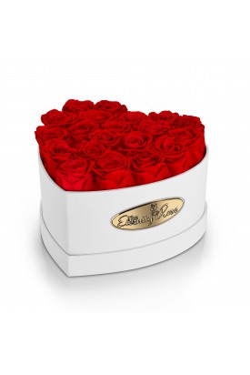 20 Preserved Red Roses. Heart Display Box in White 