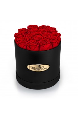 16 Preserved Roses. Round Black Display Box 