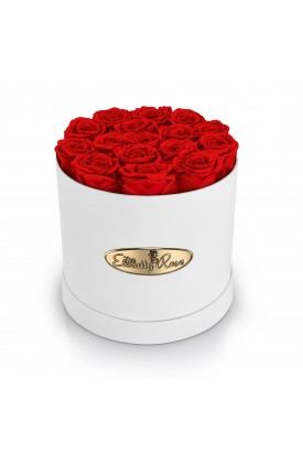 16 Preserved Roses. Round White Display Box 